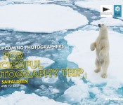 Tips for a Successful Photography Trip by Ali Saifaldeen