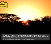 Basic DSLR Photography Level 2