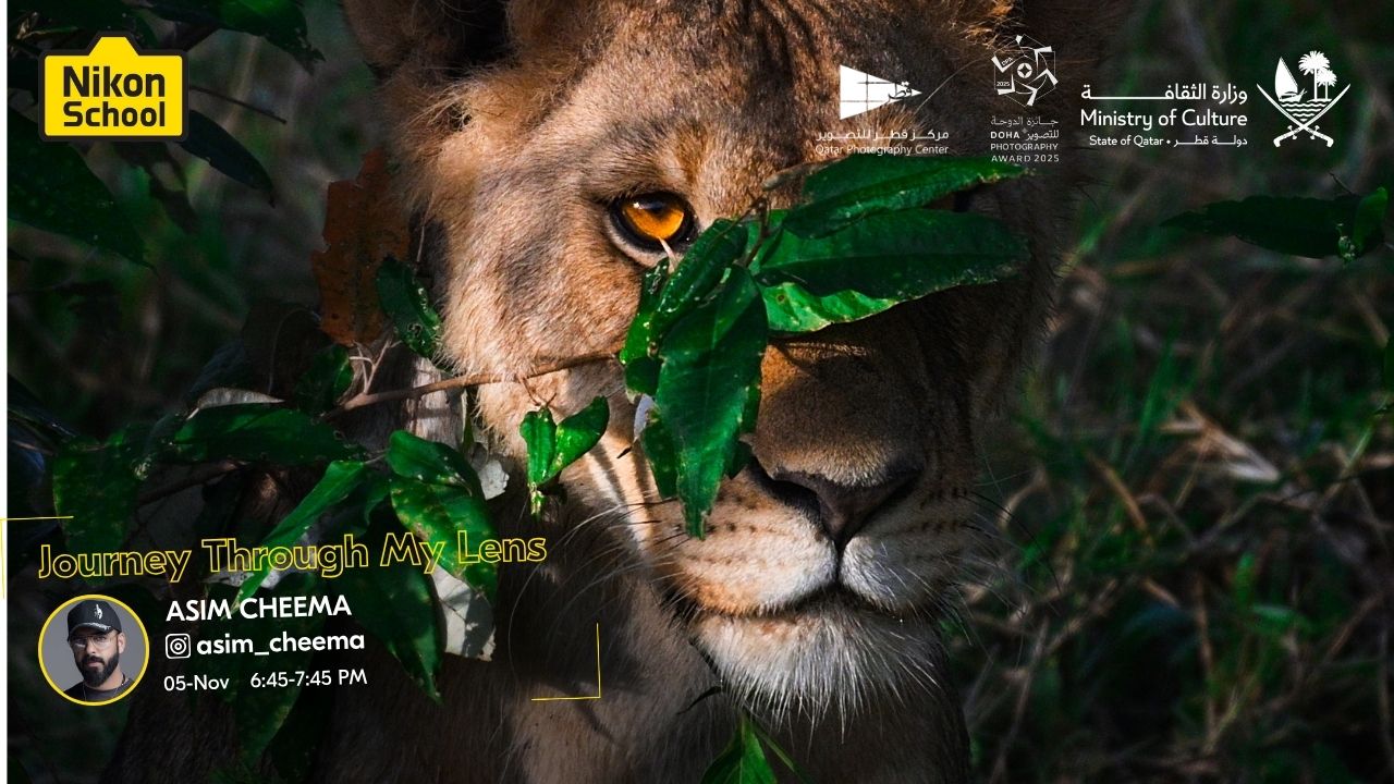 JOURNEY THROUGH MY LENS