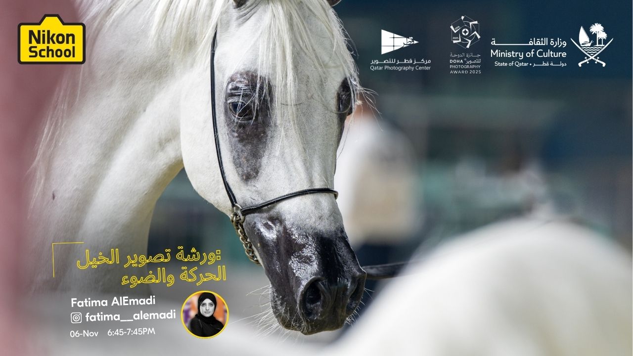 HORSE PHOTOGRAPHY WORKSHOP: MOVEMENT AND LIGHT